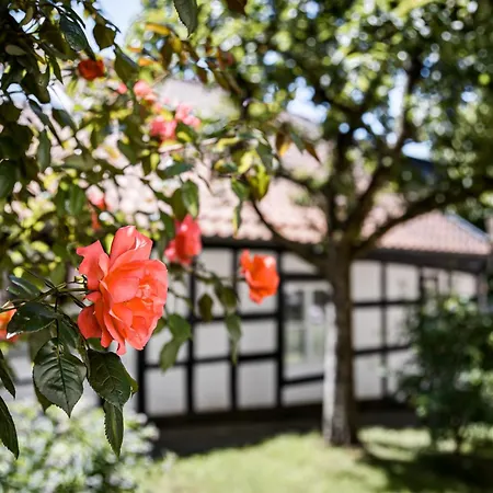 Altstadthexe - Mitten Im Herzen Der Altstadt Von Apartament Tecklenburg